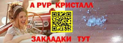 прущие грибы Ярославль