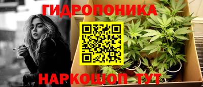 прущие грибы Ярославль